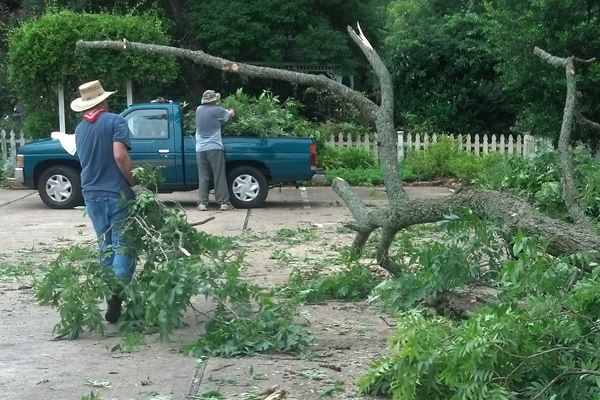 Greg Patterson hauls away limbs as he cleans up a large fallen pecan branch at his portrait studio in Nacogdoches.