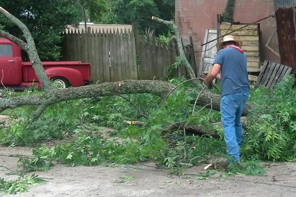 Greg Patterson gathers limbs as he cleans up a large fallen pecan branch at his portrait studio in Nacogdoches.